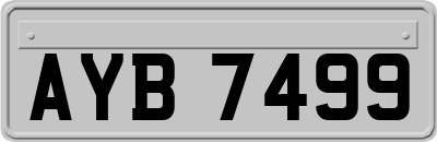 AYB7499