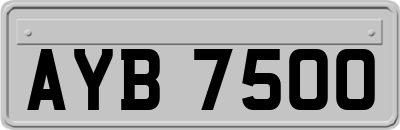 AYB7500