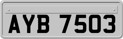 AYB7503