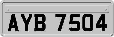 AYB7504