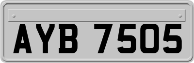 AYB7505