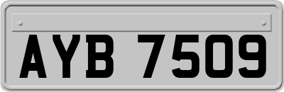 AYB7509
