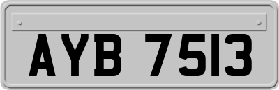 AYB7513