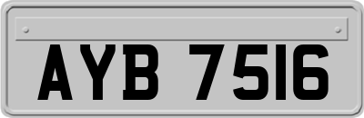 AYB7516