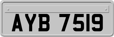 AYB7519