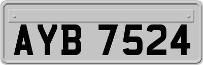 AYB7524