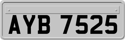 AYB7525
