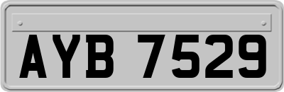 AYB7529