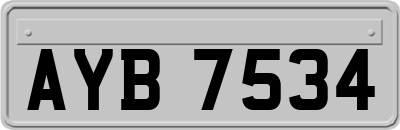 AYB7534