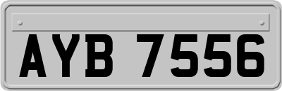 AYB7556
