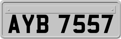 AYB7557
