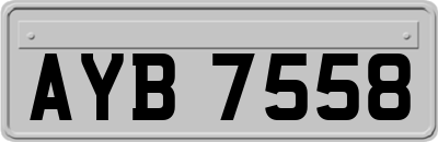 AYB7558