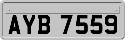 AYB7559