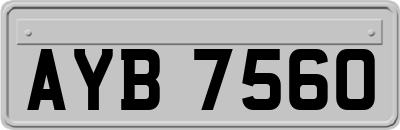 AYB7560