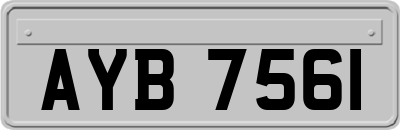 AYB7561