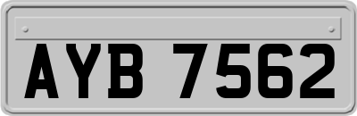 AYB7562