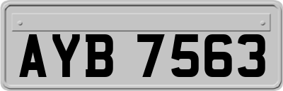 AYB7563