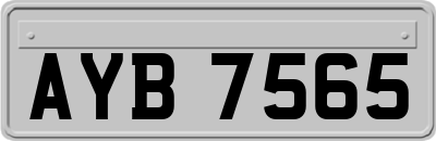 AYB7565