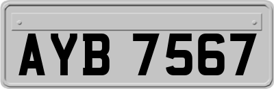 AYB7567