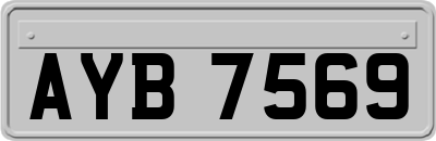 AYB7569
