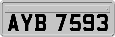 AYB7593