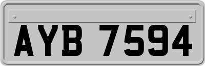 AYB7594