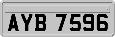 AYB7596