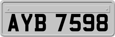 AYB7598