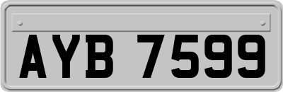 AYB7599