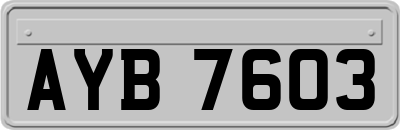 AYB7603