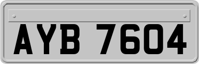 AYB7604