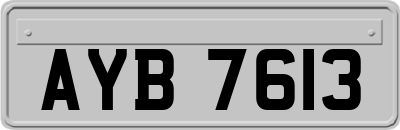 AYB7613