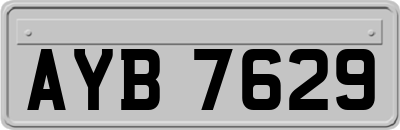 AYB7629