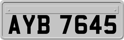 AYB7645