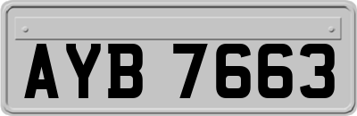 AYB7663