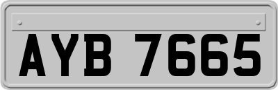 AYB7665