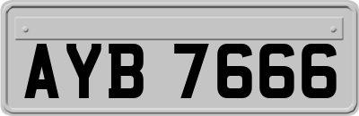 AYB7666