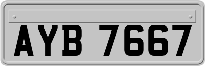 AYB7667