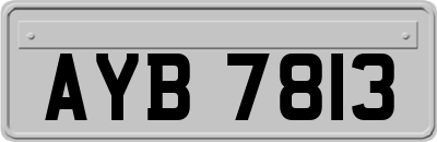 AYB7813