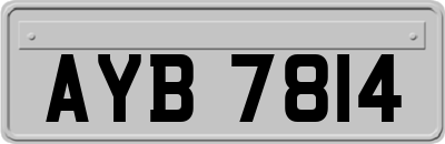 AYB7814