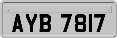 AYB7817
