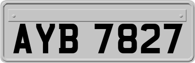 AYB7827