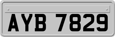 AYB7829