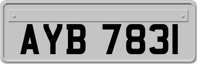 AYB7831