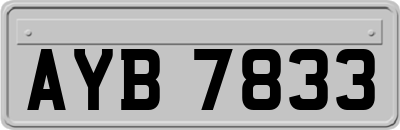 AYB7833