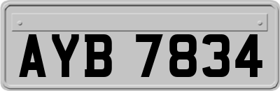 AYB7834
