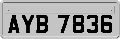 AYB7836