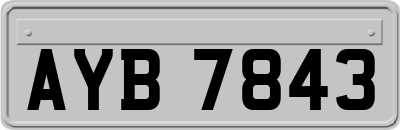 AYB7843