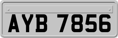 AYB7856