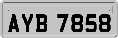AYB7858